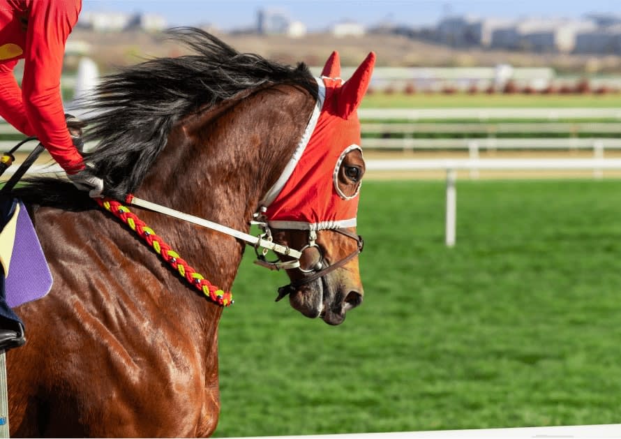 MORONEY NOT PHASED BY ODDS