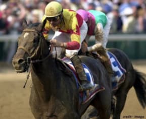 TOP 10 INTERESTING HORSE RACING FACTS
