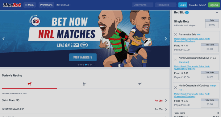 bluebet site preview