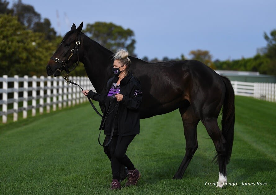 VERRY ELLEEGANT MAKES FRENCH DEBUT
