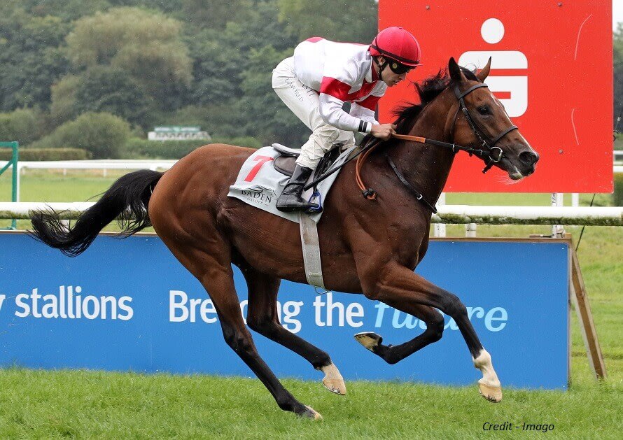 LOFT TO TARGET 2023 MELBOURNE CUP