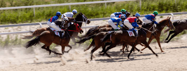 professional horse racing tips